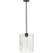 Ashli 1 Light 12 inch Matte Black Indoor Pendant Ceiling Light